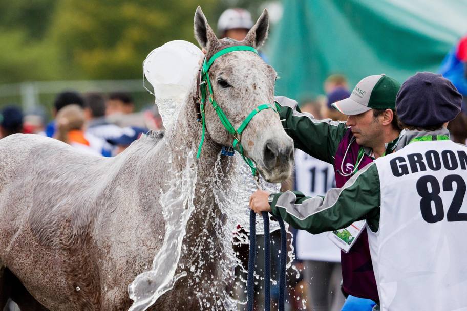A cavallo viene rinfrescato durante una gara endurance ai Campionati Mondiali di Equitazione a Caen (Francia) (Epa/Rolf Vennebernd)